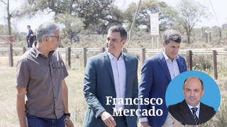 Sánchez ha legalizado el riego de la mitad de los cultivos de Doñana