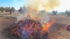 Generalitat emite 13 autorizaciones extraordinarias para quemas agrícolas