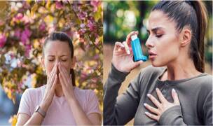 ¿Qué diferencias hay entre el asma y la alergia? Claves para entenderlas