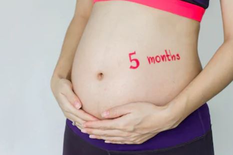 embarazo-5-meses